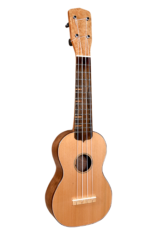 Title: Royal Elm Burl