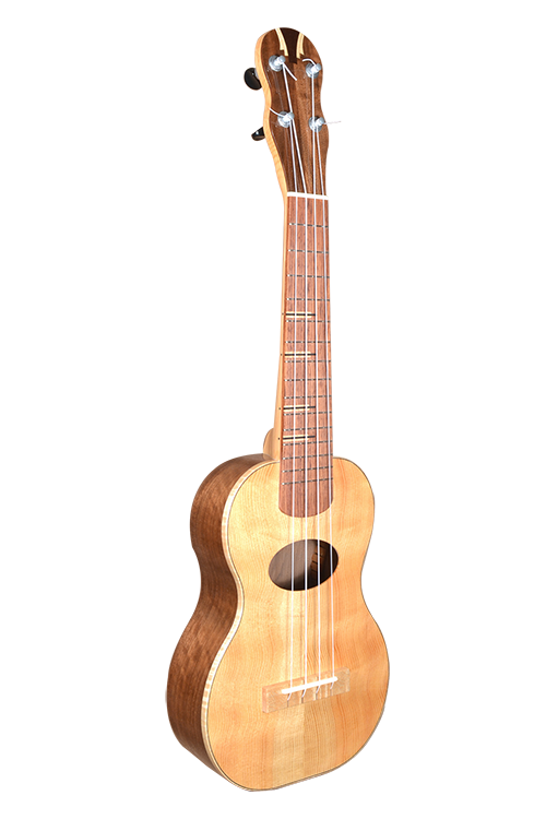 Curly Fir Walnut Revised Outline Web 01.png