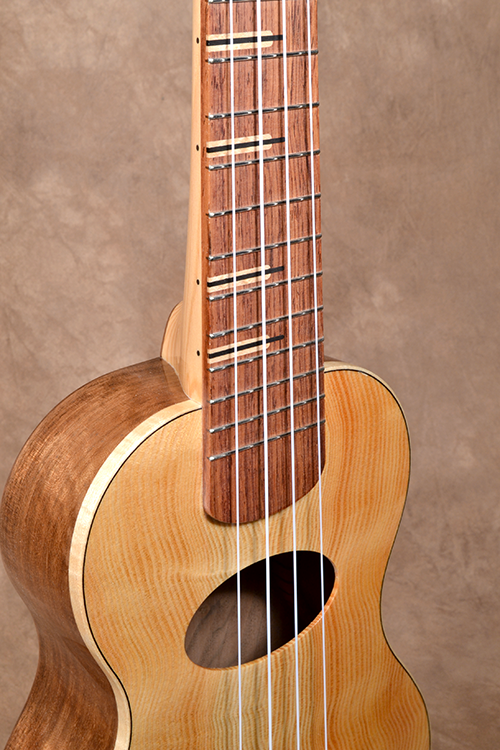 Curly Fir Walnut Revised Web 03.png