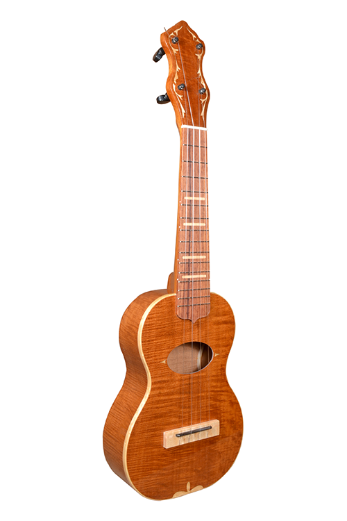 Concert 10 Friends Tree 01.png