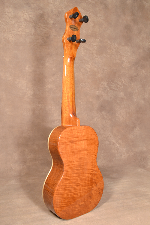 Concert 10 Friends Tree 05.png