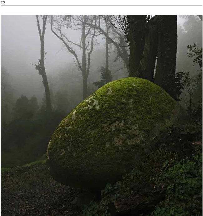 mioloCaritas09-20_ig.jpg