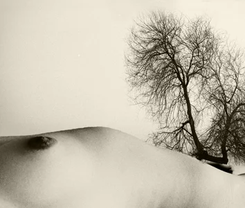 Luís Barreira Nu, "Je ne vois pas La Femme cachée dans la forêt" , 1991 Fotografia / Colagem Gelatin-Silver Print 30x40 cm série: La Femme - surrèaliste