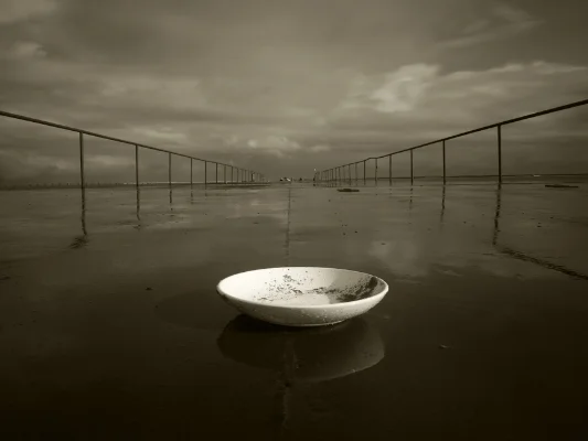Luís Barreira no parque, primeiro de janeiro, 2016 fotografia
