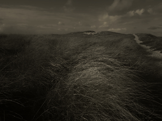 Luís Barreira Dunas - Costa de Caparica, 2014 Série: Landscapes fotografia