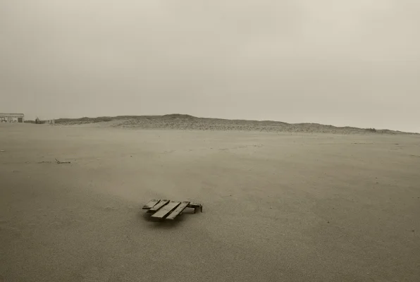 Luís Barreira na praia, 2016 série: 2016 fotografia