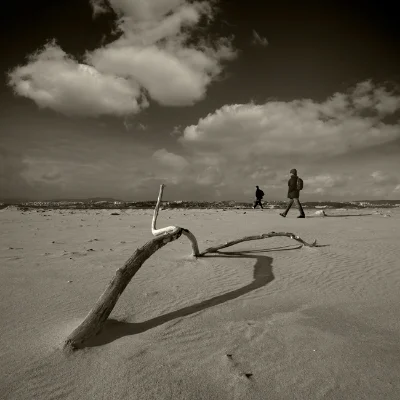 Luís Barreira tronco na praia da cova do vapor, 2014 série: Landscapes fotografia