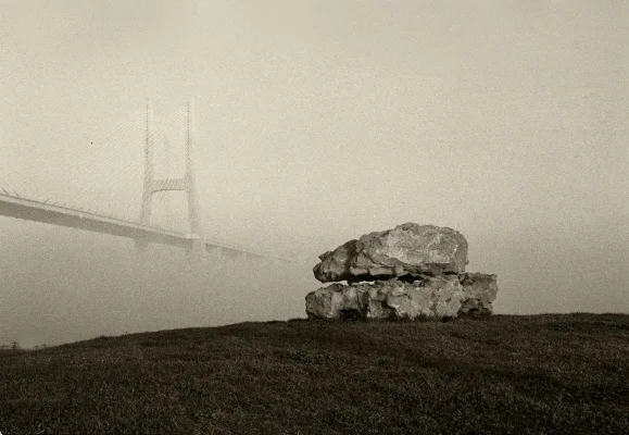 Luís Barreira Ponte Vasco da Gama (calhaus), 1999 série: no parque fotografia Gelatin-Silver Print