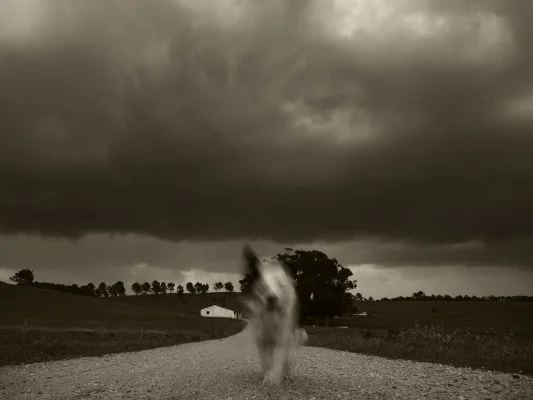 Luís Barreira Dog - Quinta do Pisão, 2016 fotografia