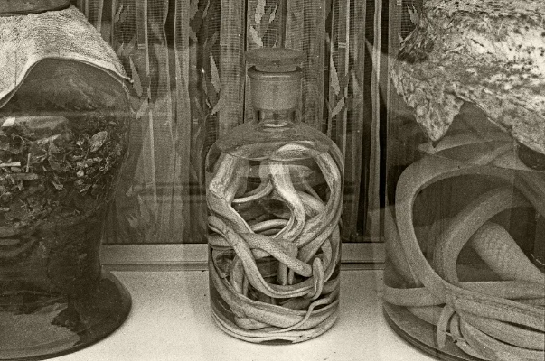 Luís Barreira pharmacy - snakes, China, 1996 Fotografia Gelatin-Silver Print
