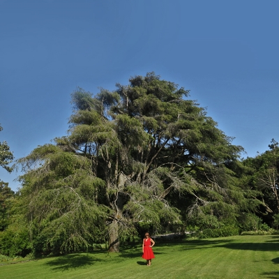 Luís Barreira Helena no "monte parnaso", Sintra, 2014 Fotografia