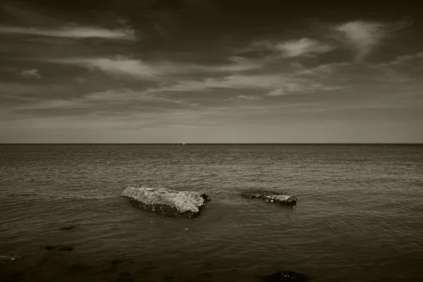 Luís Barreira 2 calhaus, 2016 Fotografia