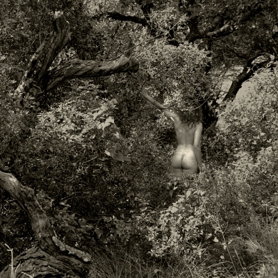 Luís Barreira Nu #003, Arrábida, 1998 Fotografia Gelatin Silver print Série: De rerum natura