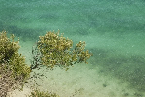 Luís Barreira Portinho da Arrábida, 2011 Fotografia