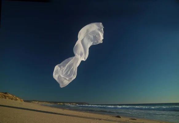 Luís Barreira White scarf, 2016 Fotografia Série: work in progress' 16