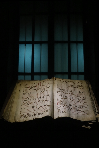 Luís Barreira Biblioteca do Convento de Santo Domingo Lima, Perú, 2016 Fotografia Série: Shapes and Forms