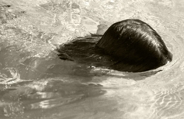 Luís Barreira Rita Barreira na piscina do avô, 2000 Fotografia Gelatin Silver print