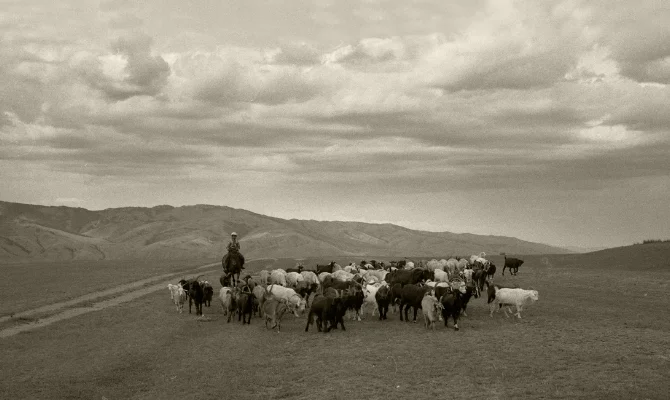Luís Barreira Mongólia, 1996 Fotografia Gelatin Silver print