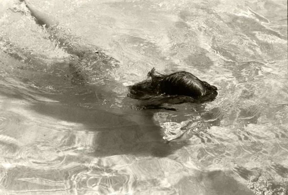 Luís Barreira Rita Barreira na piscina do avô (II), 2000 Fotografia Gelatin Silver print