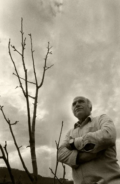 Luís Barreira Pai, junto à sua nogueira, 1987 Fotografia Gelatin Silver print Série: Album