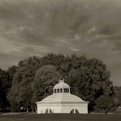 Luís Barreira Fonte Salus, Vidago, 2011 Fotografia série: "quando estas árvores se desnudam descobrem as minhas raízes"