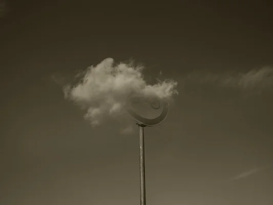 Luís Barreira "Reproducción prohibida", 2015 Fotografia Série: 