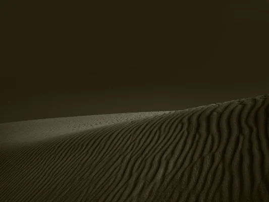 Luís Barreira Dunas, 2006 Deserto do Sara - Tunísia Fotografia