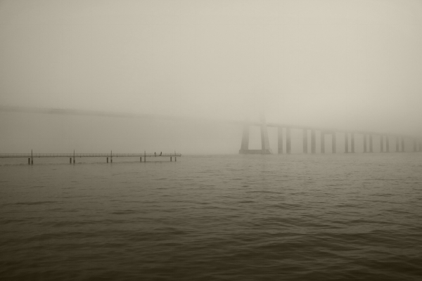 Luís Barreira Ponte Vasco da Gama, 2016 Lisboa Fotografia Série: no parque