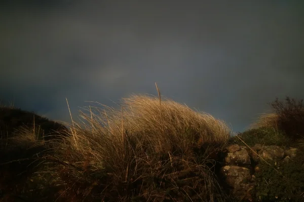 Luís Barreira Serra de Sintra, 2016 Fotografia serie: Landscapes arquivo: 12_04_IMG_4414, 2016