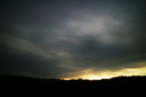Luís Barreira Landscape #12_4665, 2016 Fotografia arquivo: 2016_12_07_4665