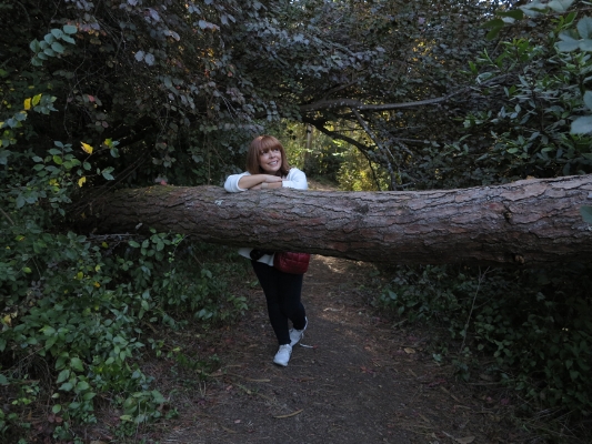 Luís Barreira Helena na Quinta da Ribafria Sintra, 2015 Fotografia arquivo: #09_5136, 2015