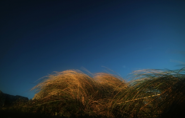 Luís Barreira Landscape #12_4553 Sintra, 2016 Fotografia arquivo: #12_4553, 2016