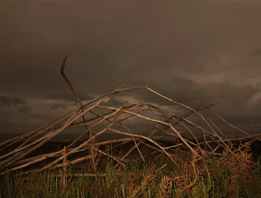 Luís Barreira S/título, 2013 fotografia arquivo: #12_4222, 2013
