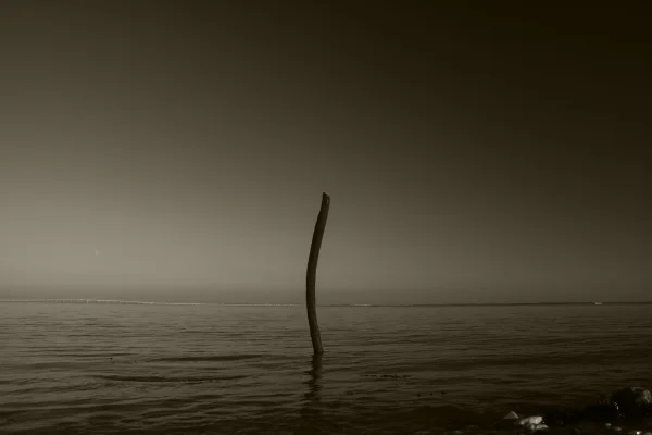 Luís Barreira Seascape , Rio Tejo, 2016 fotografia arquivo: #12_4763, 2016