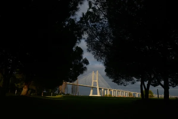 Luís Barreira Ponte Vasco da Gama, 2017 Fotografia Série: no parque arquivo: 03_15099, 2017
