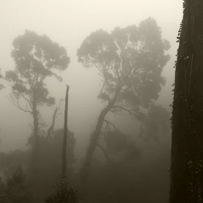Foto: Luís Barreira Sintra, 2014
