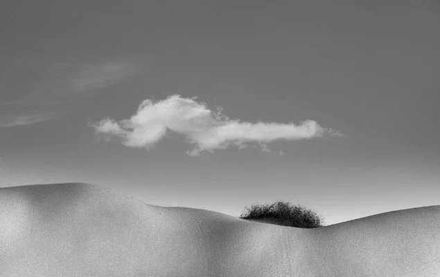 Luís Barreira Forêt , je ne vois pas La Femme cachée dans la forêt, 1991 série: La Femme - surrèaliste Fotografia / Colagem Gelatin-Silver Print 24x40 cm