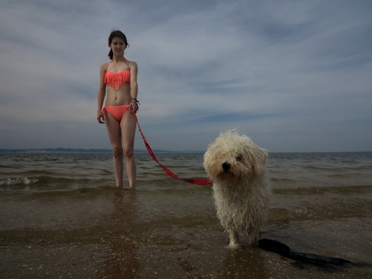 Luís Barreira Dog on the beach, 2015 Samouco Fotografia Série: street photography arquivo: 04_3248, 2015