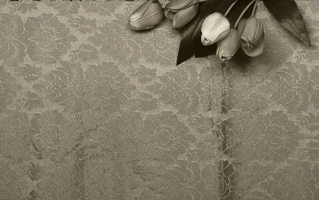 Luís Barreira Tulipas, 2017 Fotografia série: still life arquivo: 03_5958, 2017