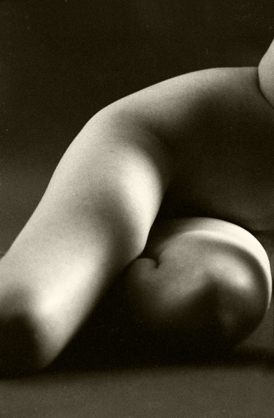Luís Barreira Nu, 1999 Fotografia Gelatin Silver print paper (110x70 cm) arquivo: F_459_801B, 1999