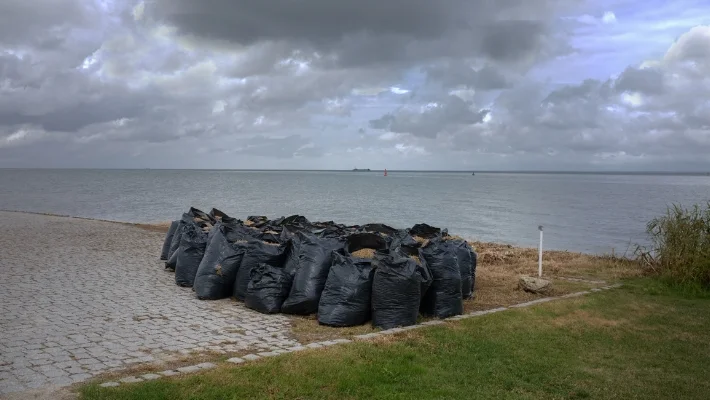 Luís Barreira "mar da palha", 2017 Fotografia série: no parque arquivo: 2017_05_10_DSCF2021