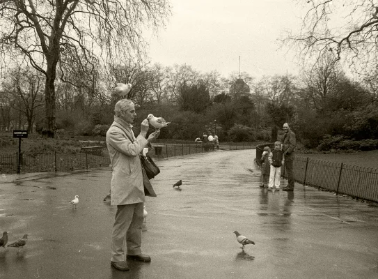 Luís Barreira man feeding pigeons , 1987 Hyde Park, London Fotografia Gelatin Silver print série: street photography arquivo: F_029_4850, 1987