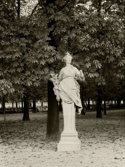 Luís Barreira j ardin des tuileries , 1989 Paris Fotografia Gelatin Silver print arquivo: F_064_6005, 1989