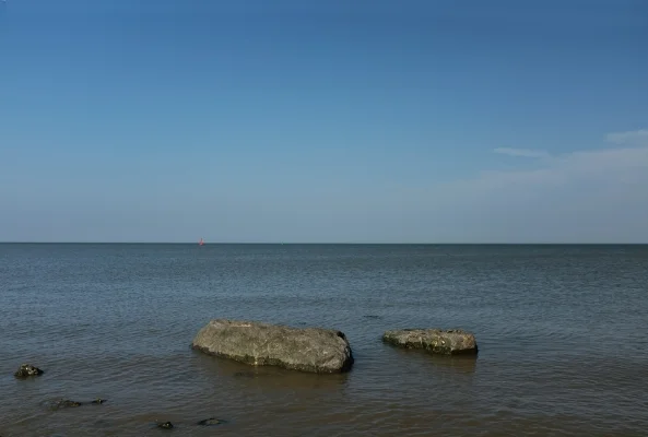 Luís Barreira s/título, 2017 Rio Tejo, Lisboa Fotografia serie: no parque arquivo: 06_14_DSCF1046, 2017