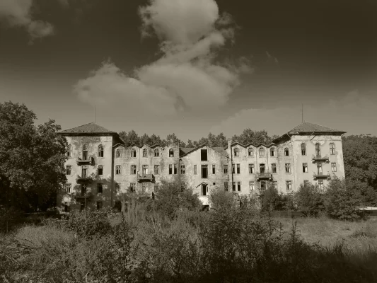 Luís Barreira Hotel do Golf, Vidago, 2015 Fotografia série: "quando estas árvores se desnudam descobrem as minhas raízes" arquivo: 09_05_IMG_4859, 2015