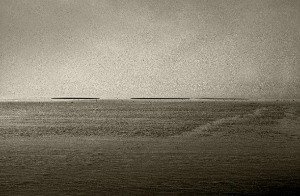 Luís Barreira Mouchões, Rio Tejo, 1993 Sapal de Pancas Fotografia série: Landscapes arquivo: F_168_11200, 1993
