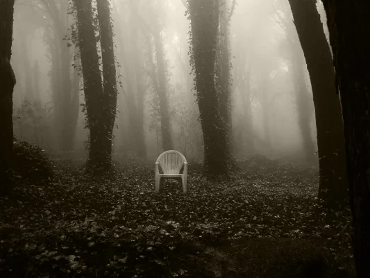Luís Barreira cadeira, 2015 parque nacional de sintra série: fotografia arquivo: 10_11_IMG_5331, 2015