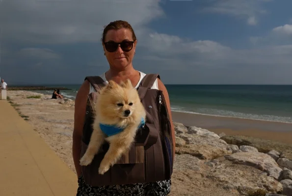 Luís Barreira Dog Costa da Caparica, 2017 Fotografia serie: street photography arquivo: 07_08_DSCF1268, 2017