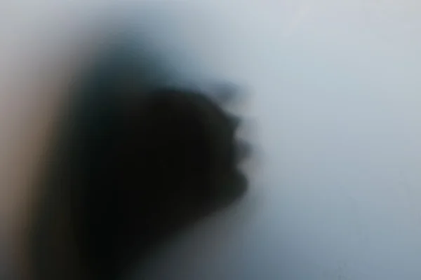 Luís Barreira Shadows, 2017 série: Fotografia arquivo: 10_31_DSCF3308, 2017