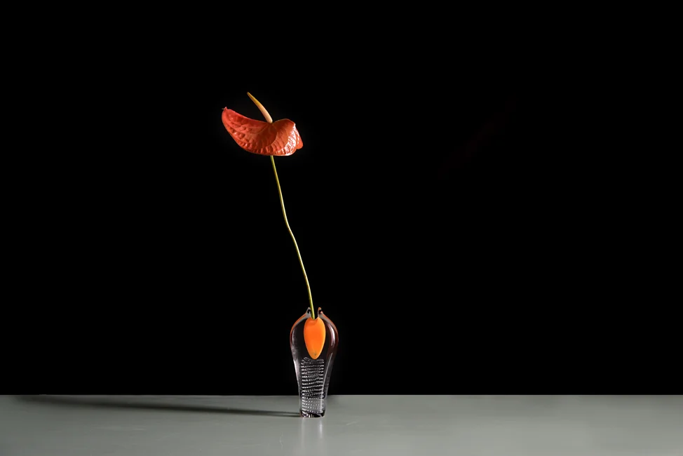 anthurium
